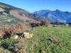 Andoni Alday erabiltzailea Pico del Balde puntan, 2023-02-16-an
