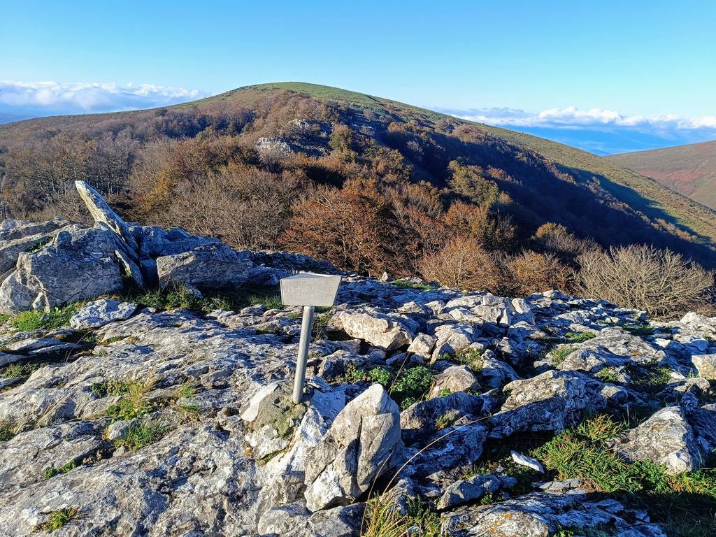 Azaolako atxa