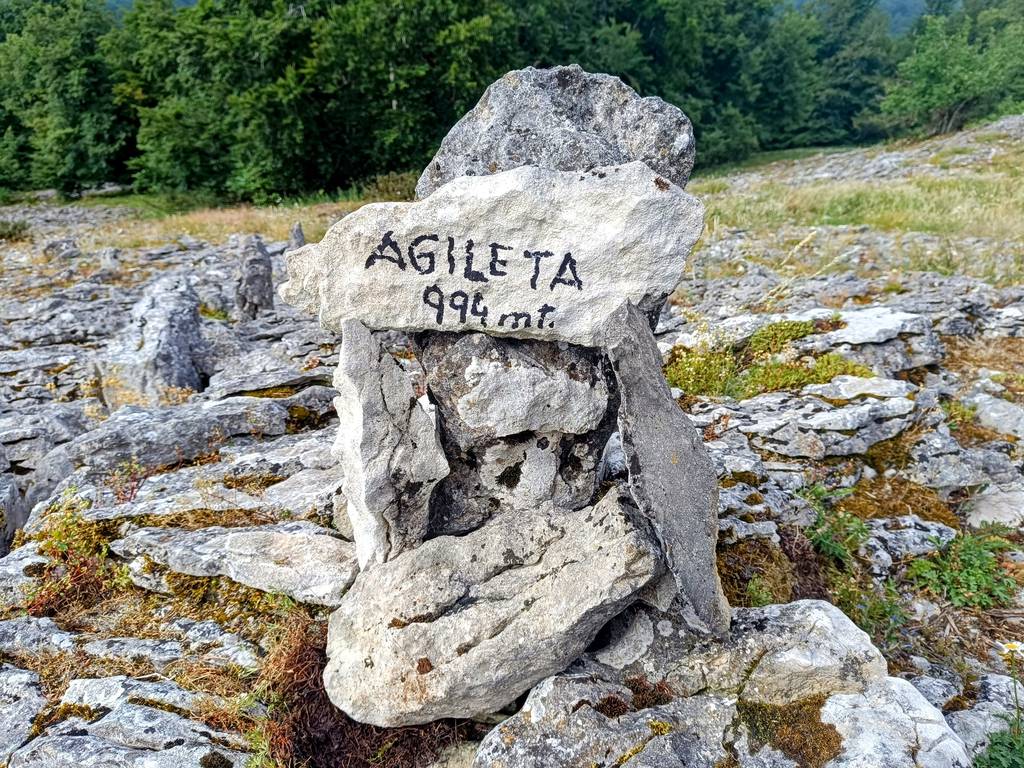 Agileta