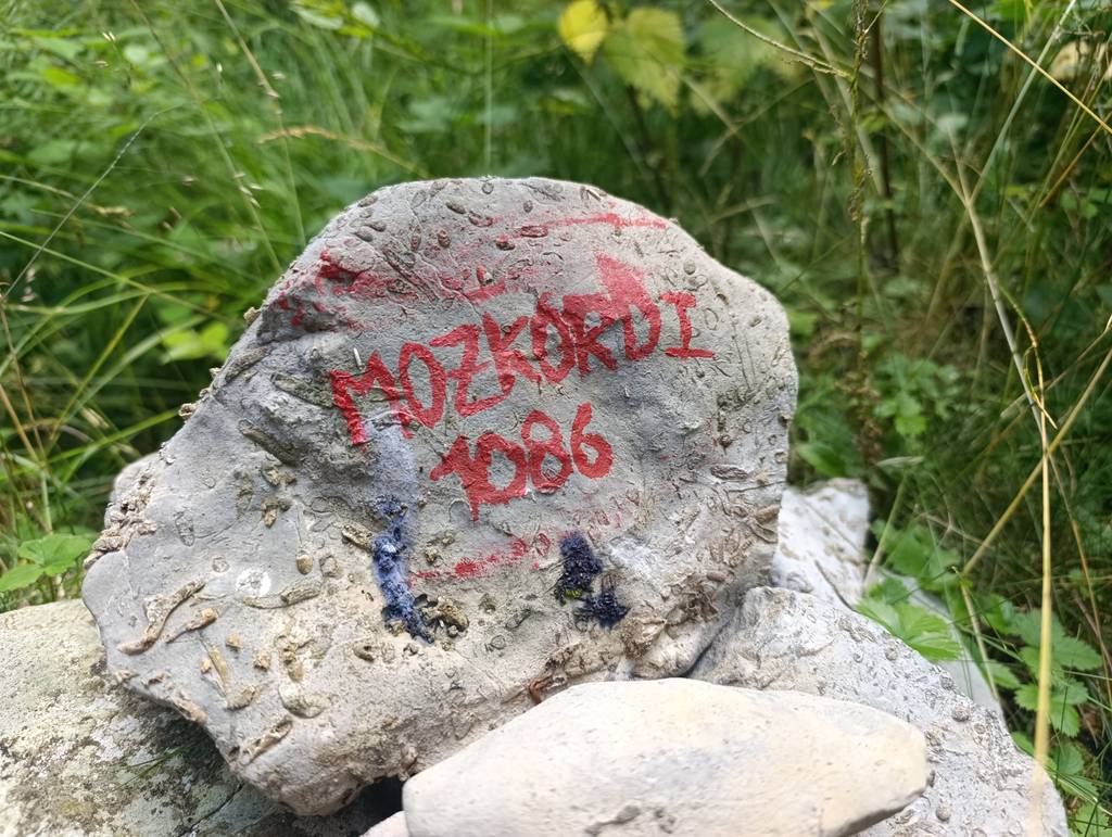 Mozkordi