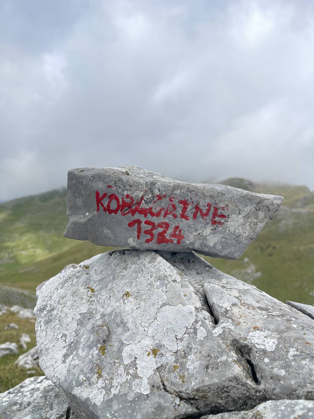 Kobagaine