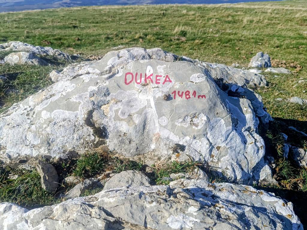Dukea