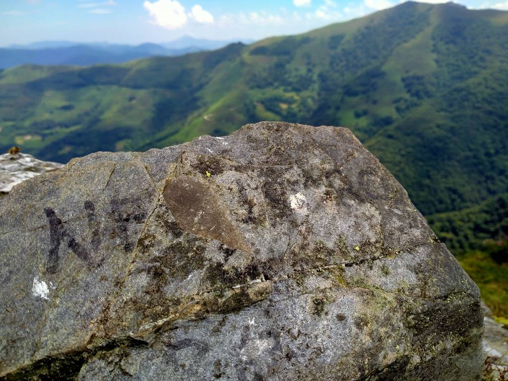 Negusoro