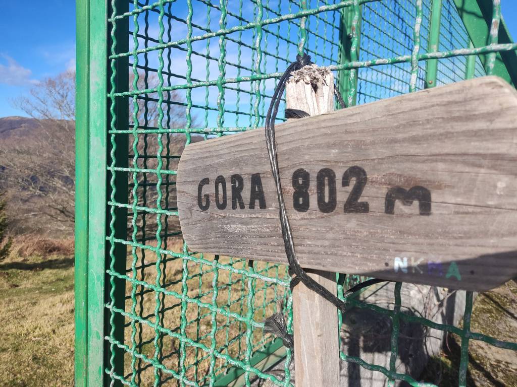 Gora