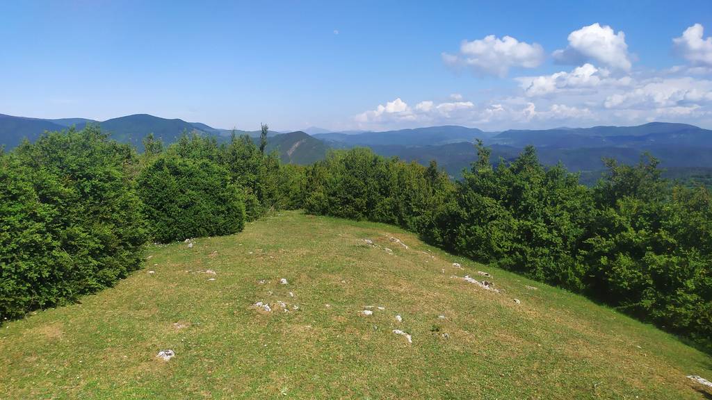 Bardegi