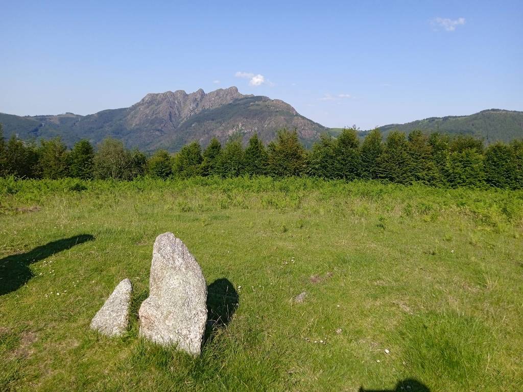 Arritxurietako gaina