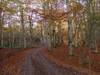  erabiltzailea Alto Somo puntan, 2016-04-04-an